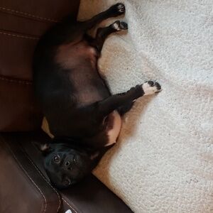 Meet your Posher, Kay